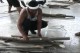Thumbs/tn_uvs020816-168.jpg