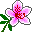 flower_0064.gif (387 Ӧ줸)